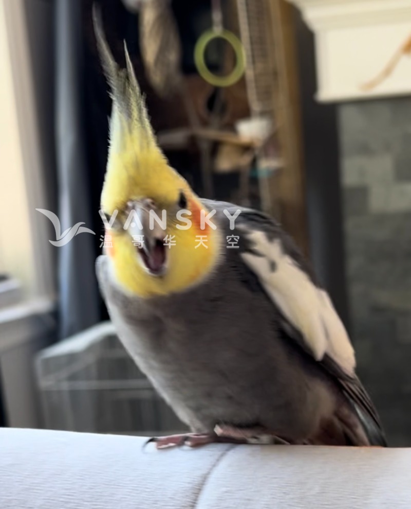 241023202531_Weixin Image_20241023193358.jpg